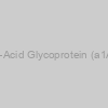 Bovine Alpha-1-Acid Glycoprotein (a1AGP) ELISA Kit